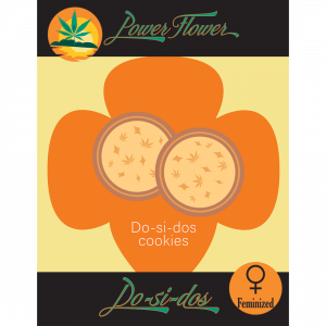 Dosi fast fem cannabis seeds